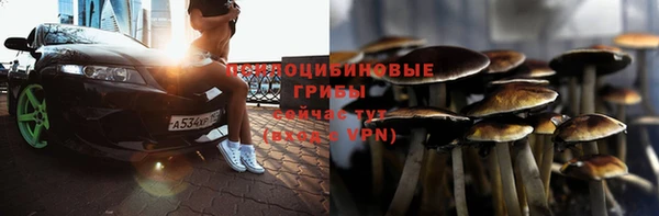 винт Армянск