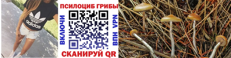 закладки  Салехард  Галлюциногенные грибы мухоморы 